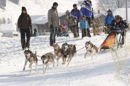 Lenk 2012 SM
